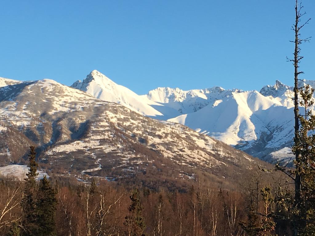 Alaska Knotty Pine B&B Palmer Eksteriør bilde